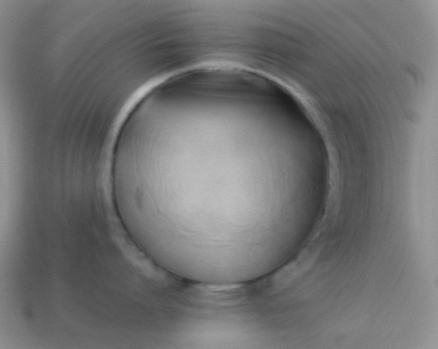 X0000114150864200910221545