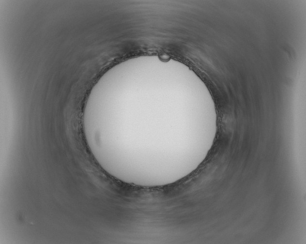 X0000114150865200910221544