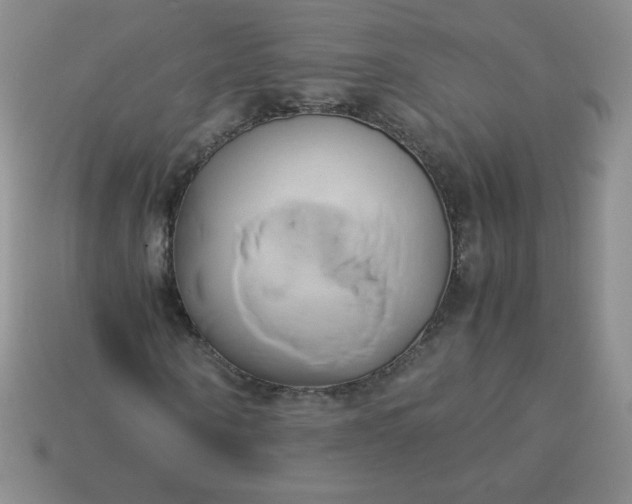 X0000114150866200910221544