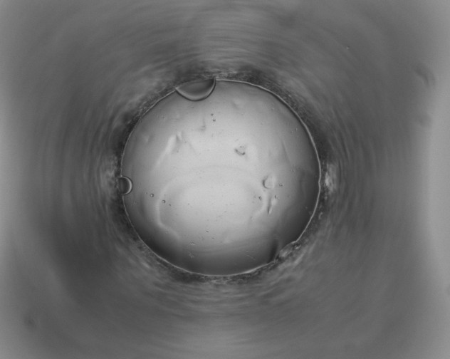 X0000114150867200910221544