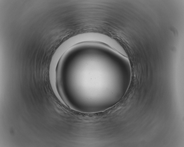 X0000114150868200910221544