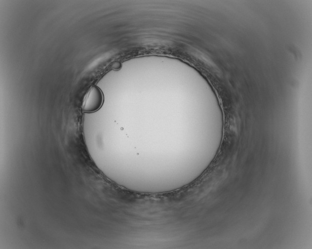 X0000114150869200910221544