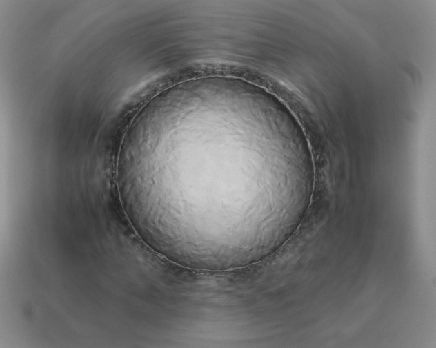 X0000114150870200910221544