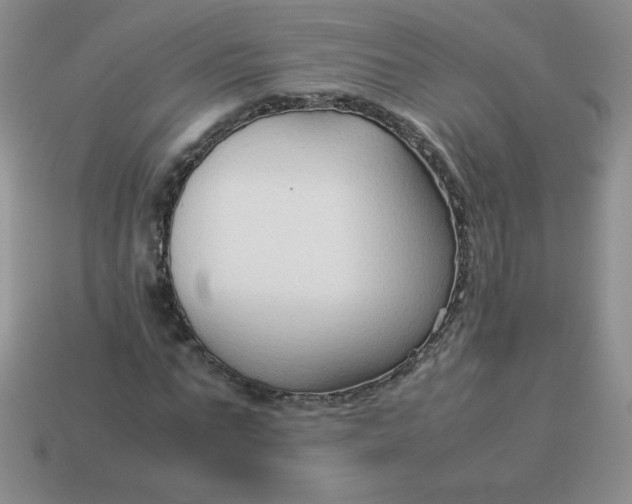 X0000114150871200910221544