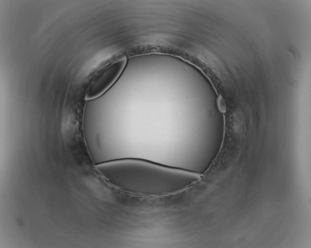 X0000114150872200910221544