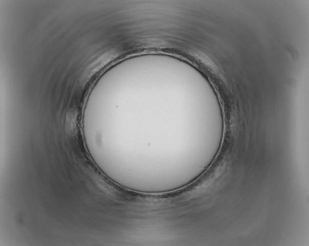 X0000114150873200910221544