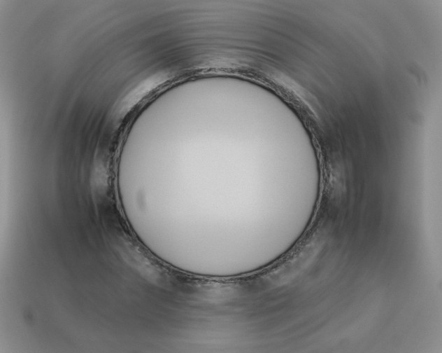 X0000114150874200910221544