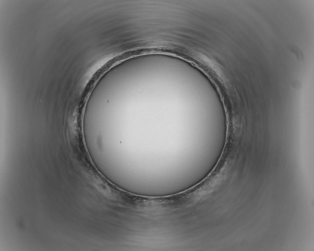 X0000114150875200910221544