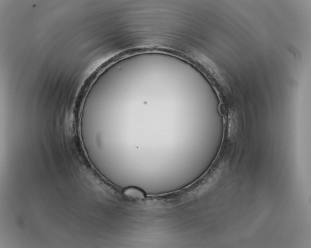 X0000114150876200910221544