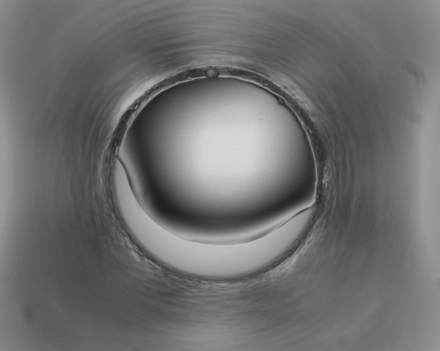 X0000114150877200910221544