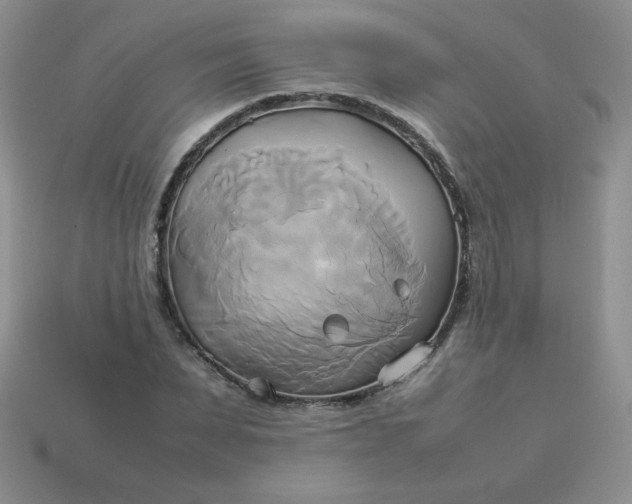 X0000114150879200910221544