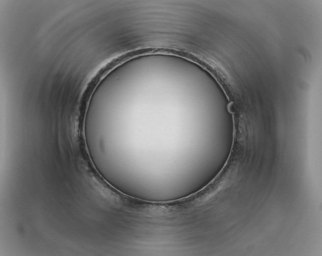 X0000114150880200910221544