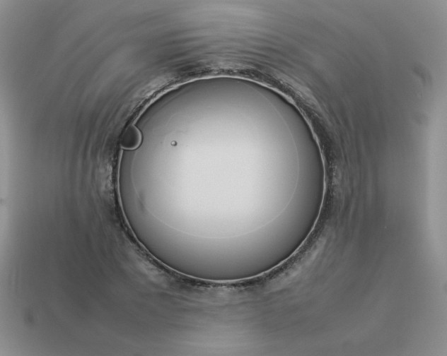 X0000114150881200910221544