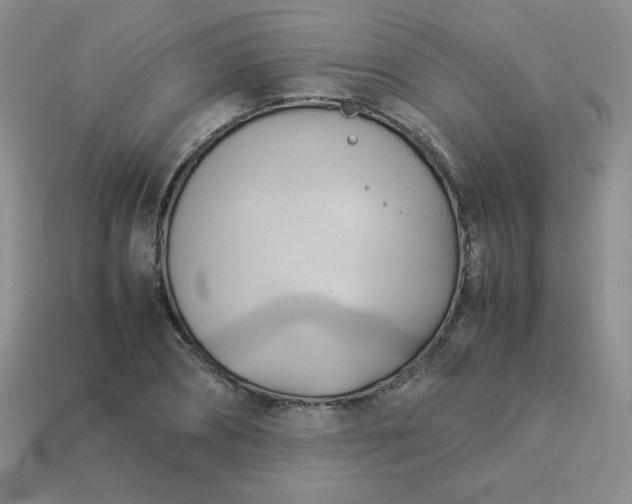 X0000114150882200910221544