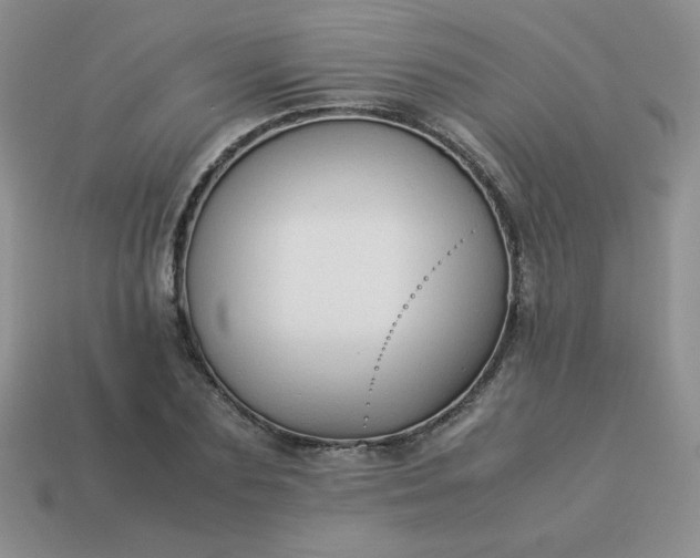 X0000114150883200910221544