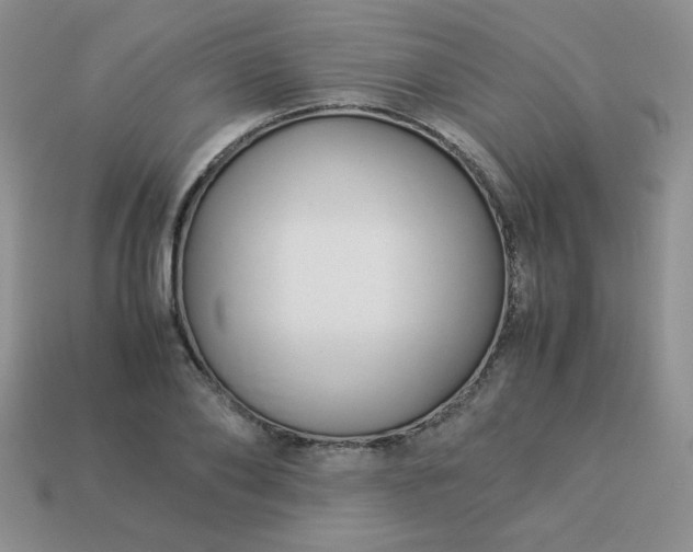 X0000114150886200910221544