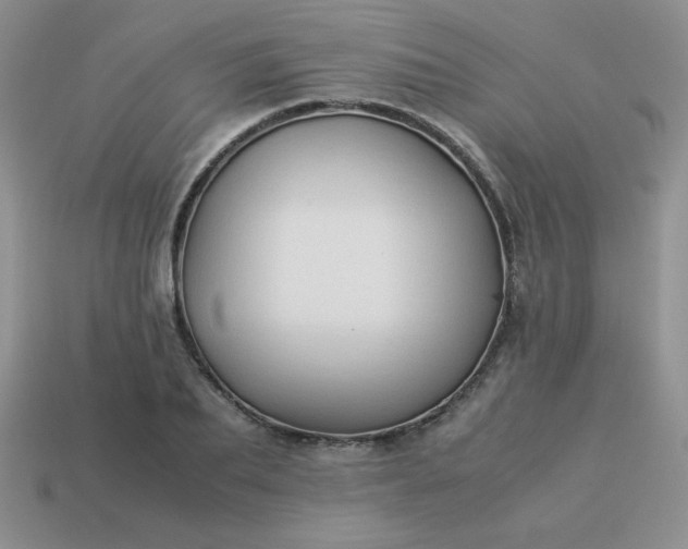 X0000114150887200910221544