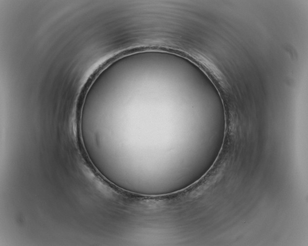 X0000114150888200910221544