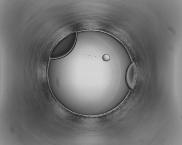 X0000114150889200910221544