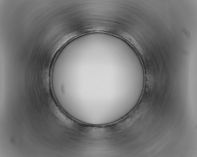 X0000114150890200910221544