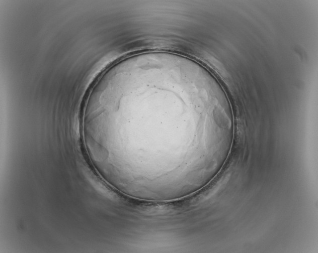 X0000114150891200910221544