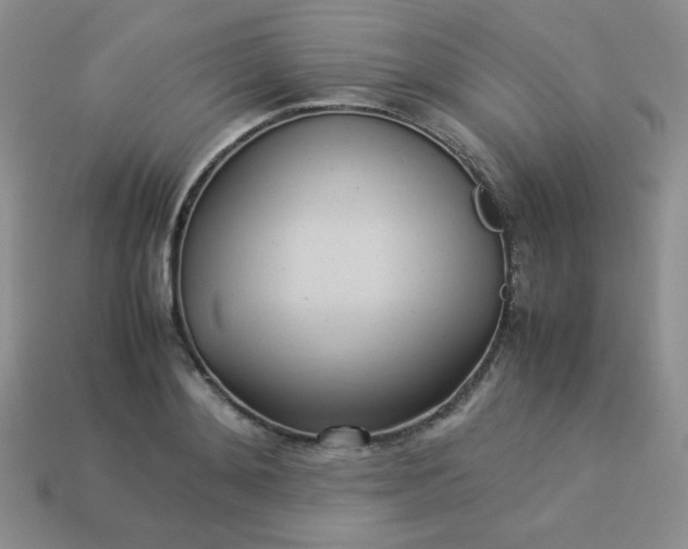 X0000114150892200910221544