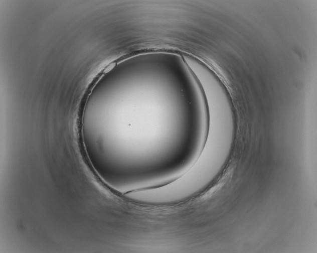 X0000114150893200910221544