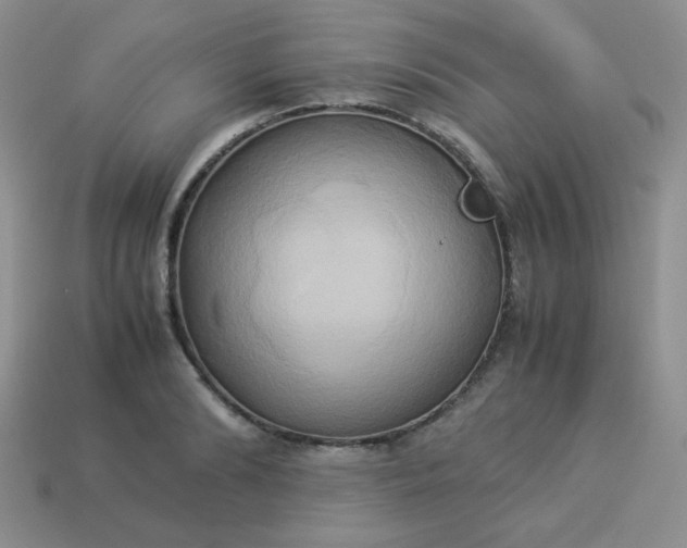 X0000114150894200910221544