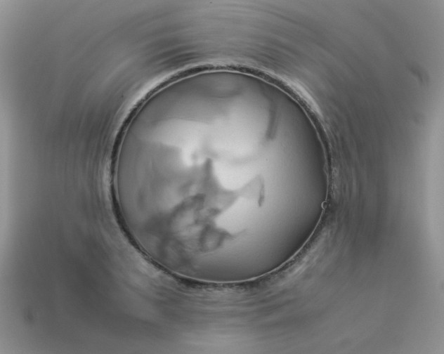 X0000114150895200910221544