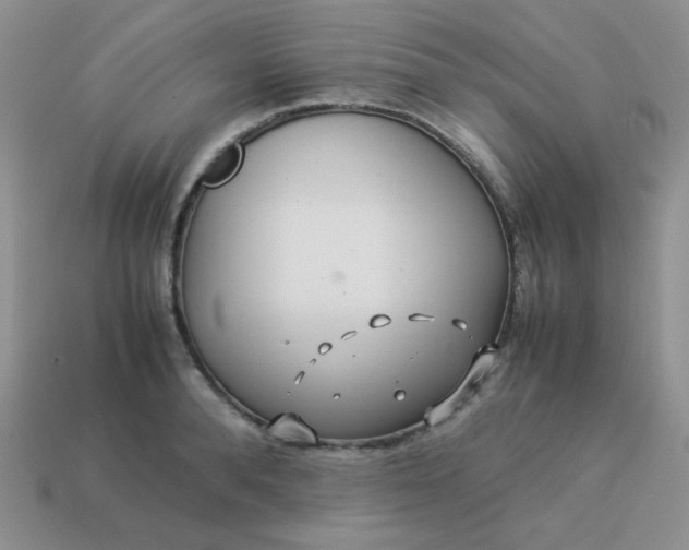 X0000114150896200910221544