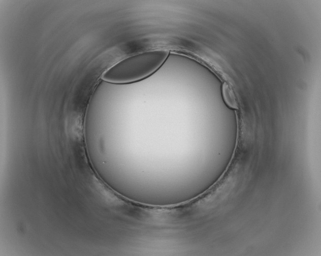 X0000114150897200910221544