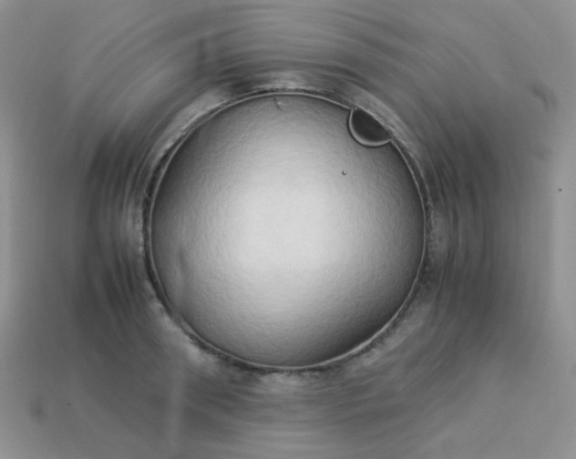 X0000114150898200910221544