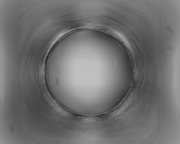 X0000114150899200910221544