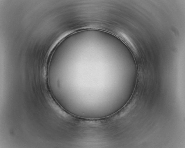 X0000114150900200910221544