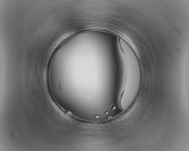 X0000114150901200910221544