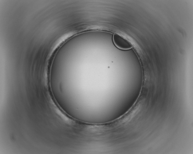 X0000114150902200910221544