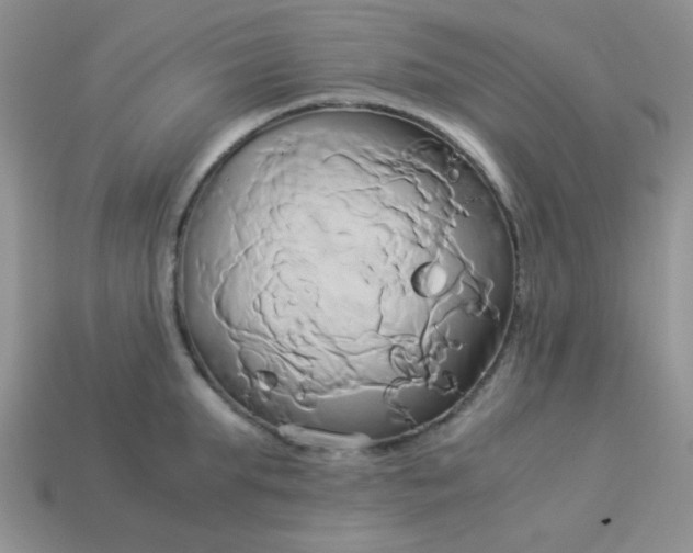 X0000114150903200910221544