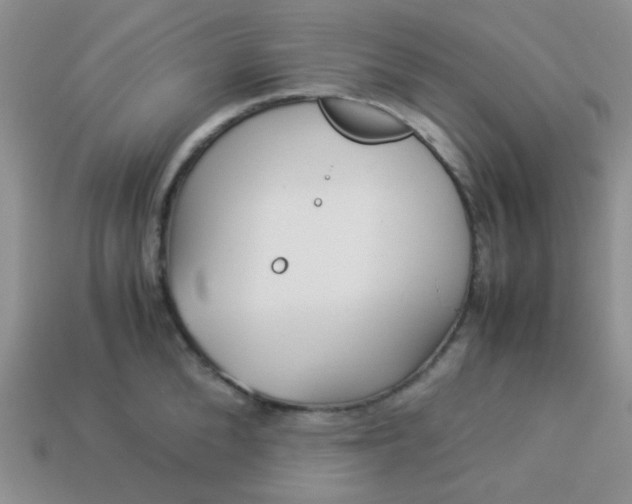 X0000114150904200910221544