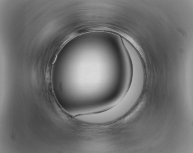 X0000114150905200910221544