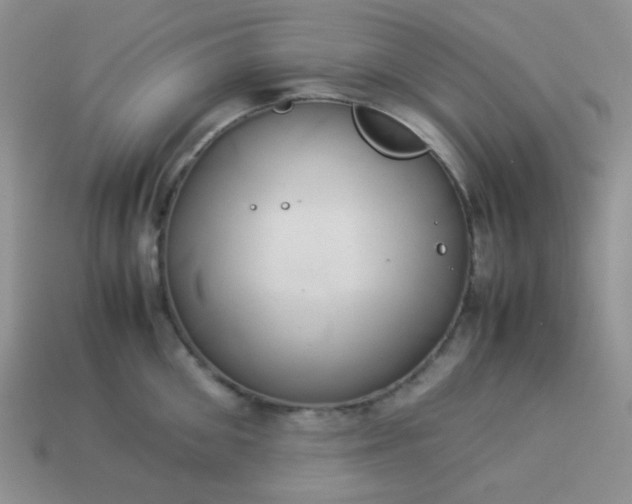 X0000114150906200910221544