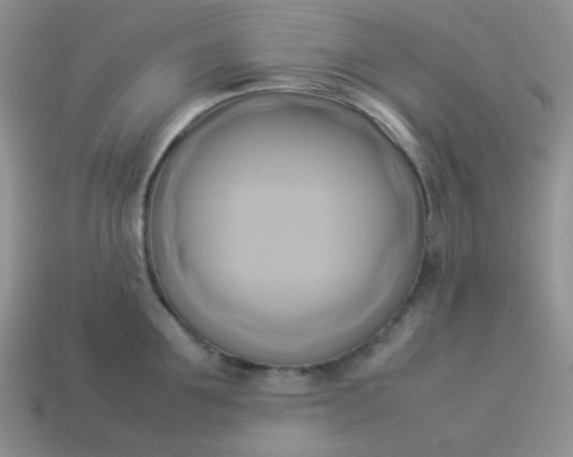 X0000114150907200910221544