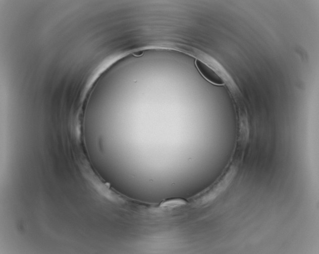 X0000114150908200910221544