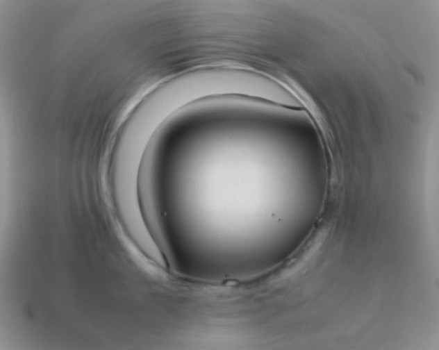 X0000114150909200910221544