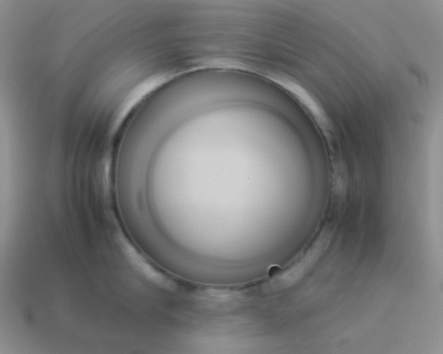 X0000114150910200910221544