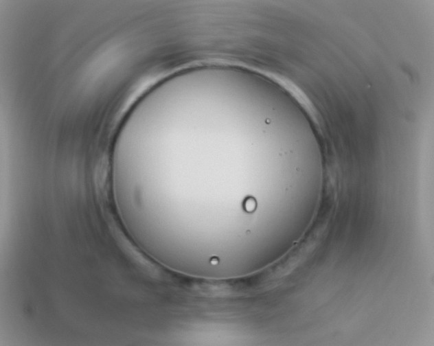 X0000114150911200910221544