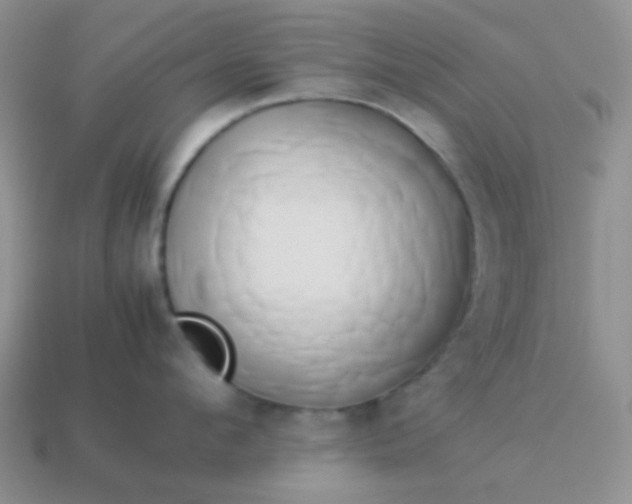 X0000114150912200910221544