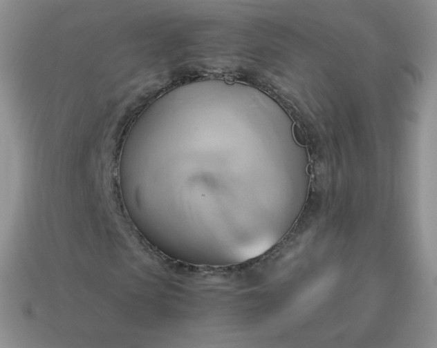 X0000114150913200910221543