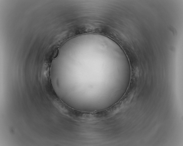 X0000114150914200910221543