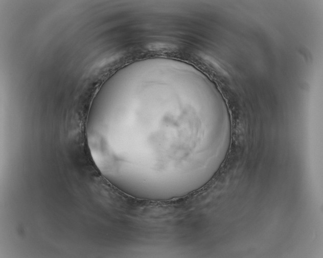 X0000114150917200910221543