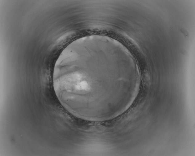 X0000114150918200910221543